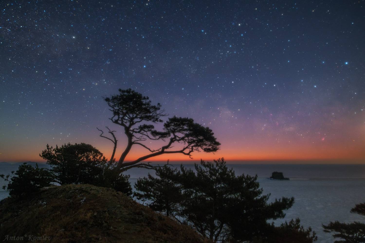 приморье, сумерки, звезды, сосна, Комлев Антон