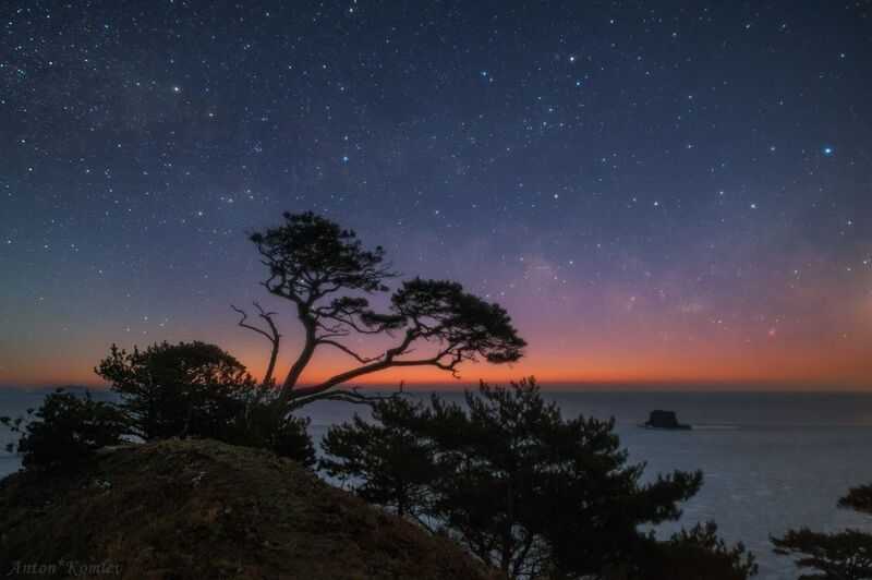 приморье, сумерки, звезды, сосна Рассвет среди звёзд. фото превью