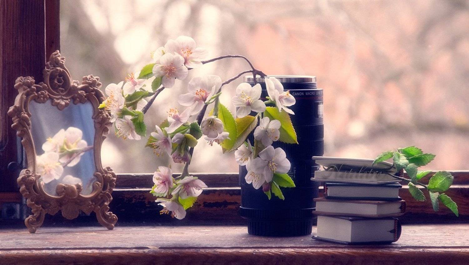 , Наталья Кузнецова (Nateletro)