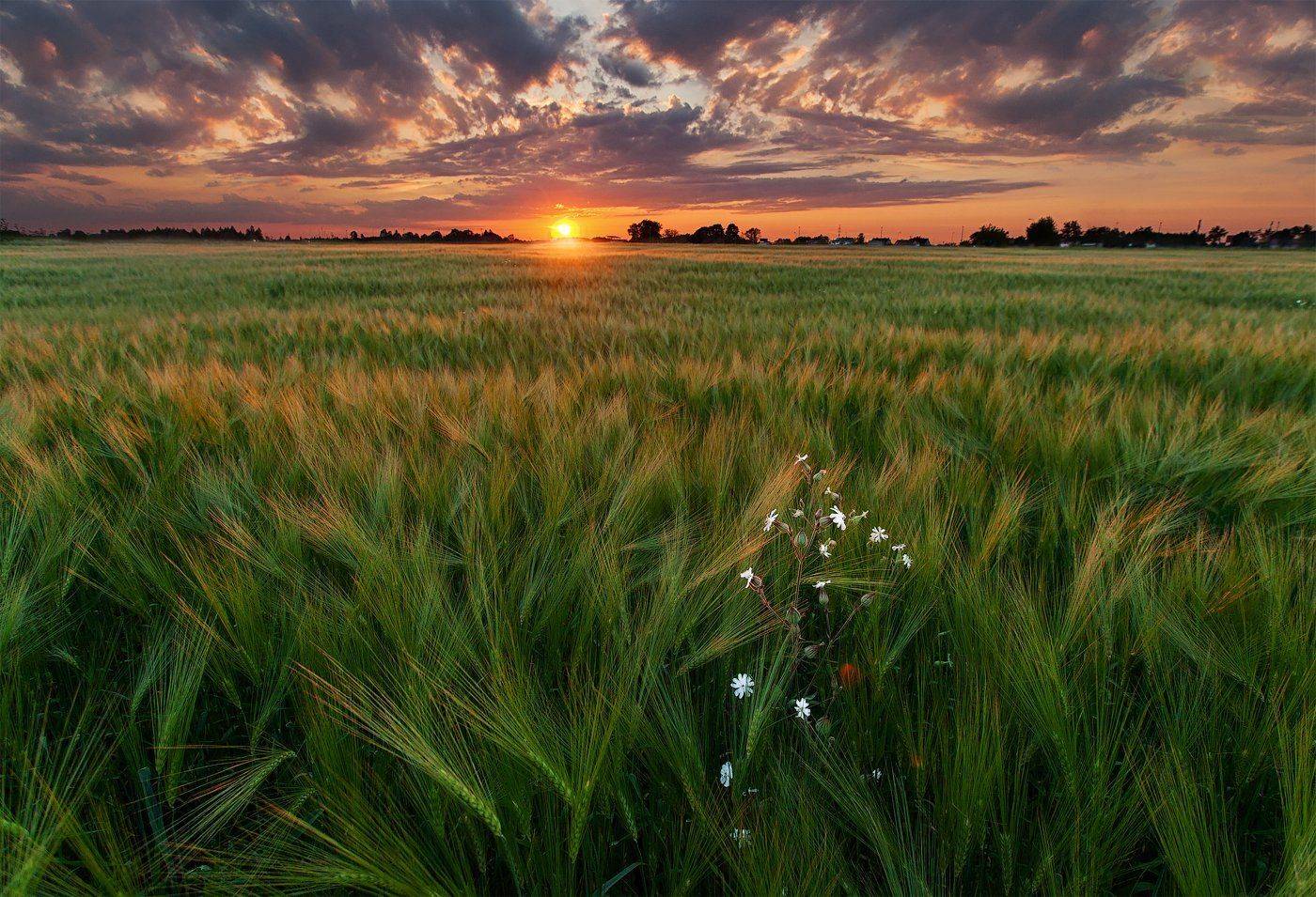 Закат, Ключенков, Пейзаж, Эстония, Kljuchenkow Aleksandr