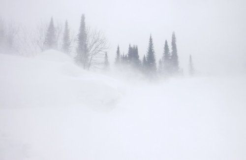 Дул как всегда февраль ветрами