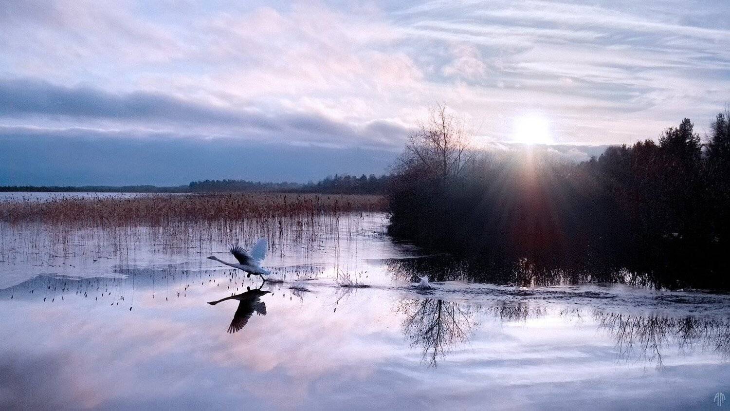 , Александр Малафеевский