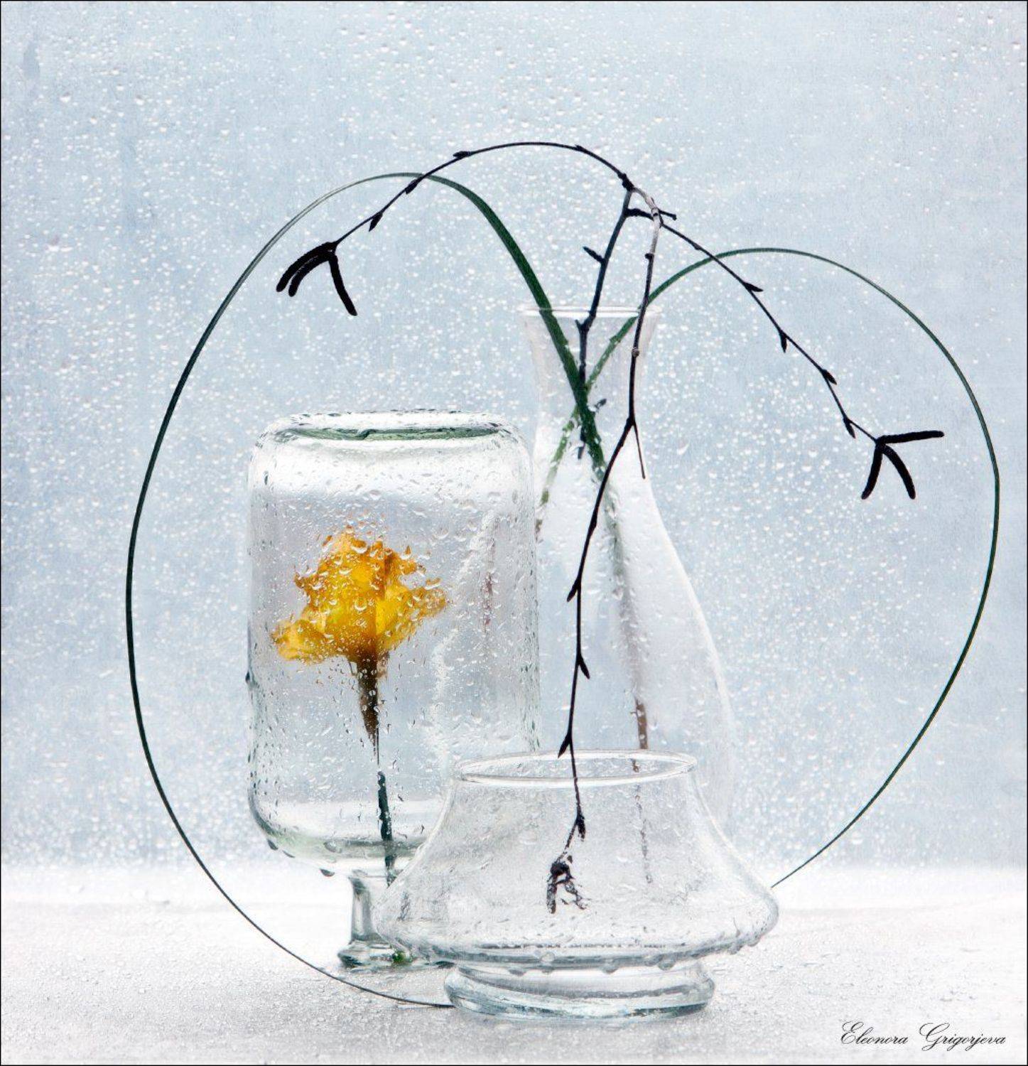 берёза, весна, дождь, нарцисс, натюрморт, стекло, февраль, Eleonora Grigorjeva