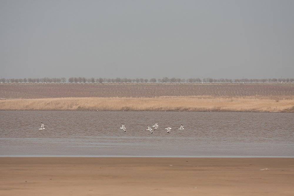 , Александр