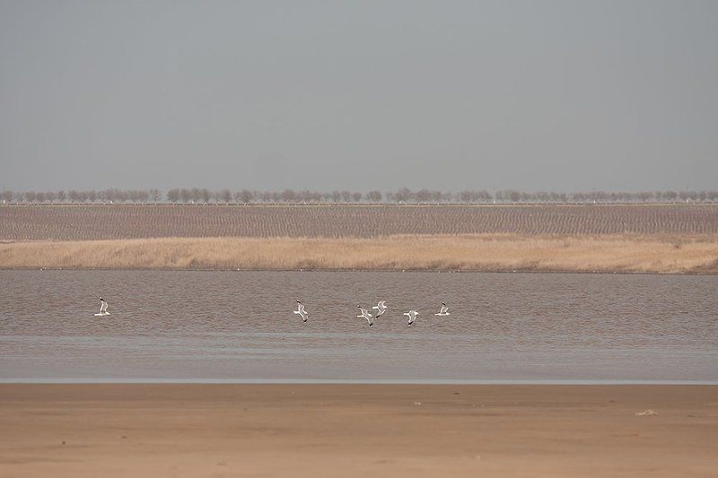 Озеро Солёное фото превью