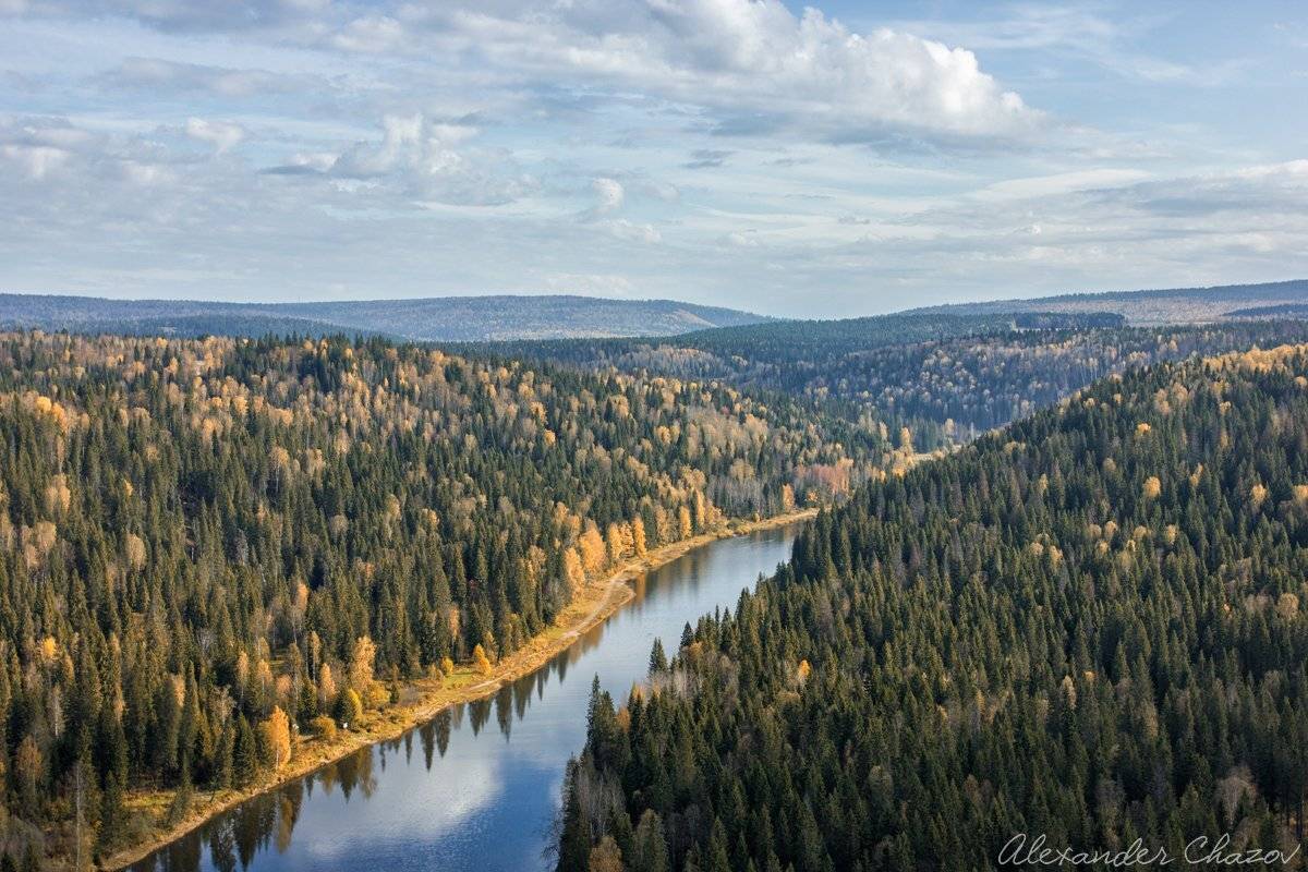 Урал, Усьва, тайга, лес, река, Чазов Александр
