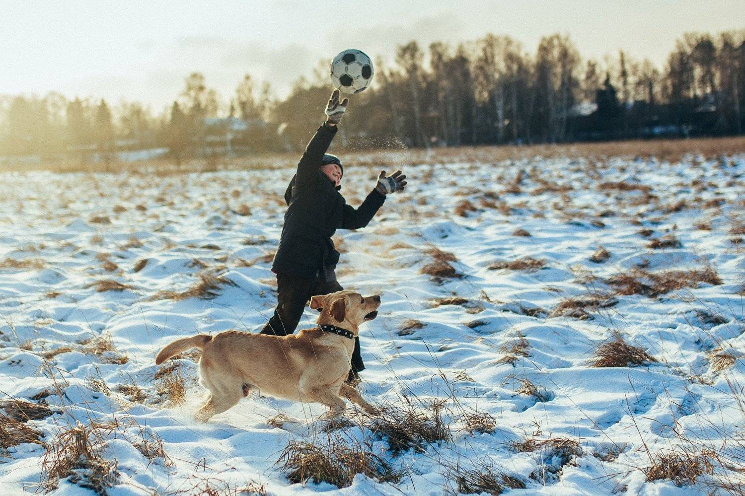 мальчик, собака, игра, дружба, зима, Ирина Сиротова