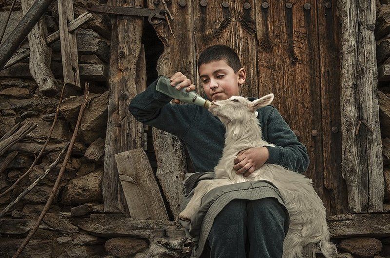 фото превью