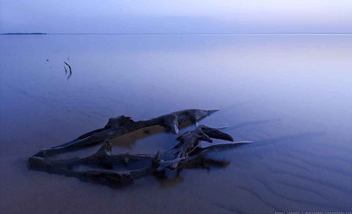 , Алексей Лобанов