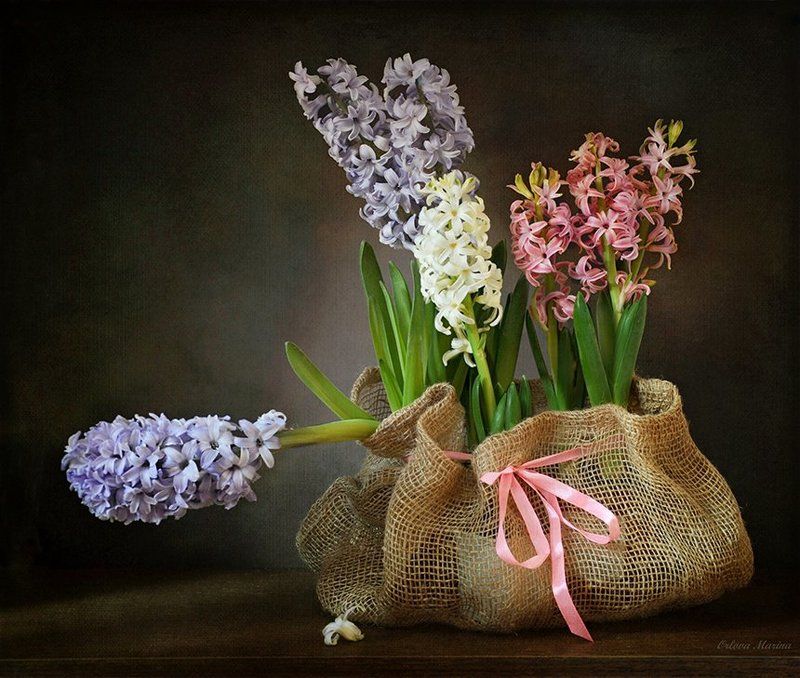 Скоро весна... фото превью