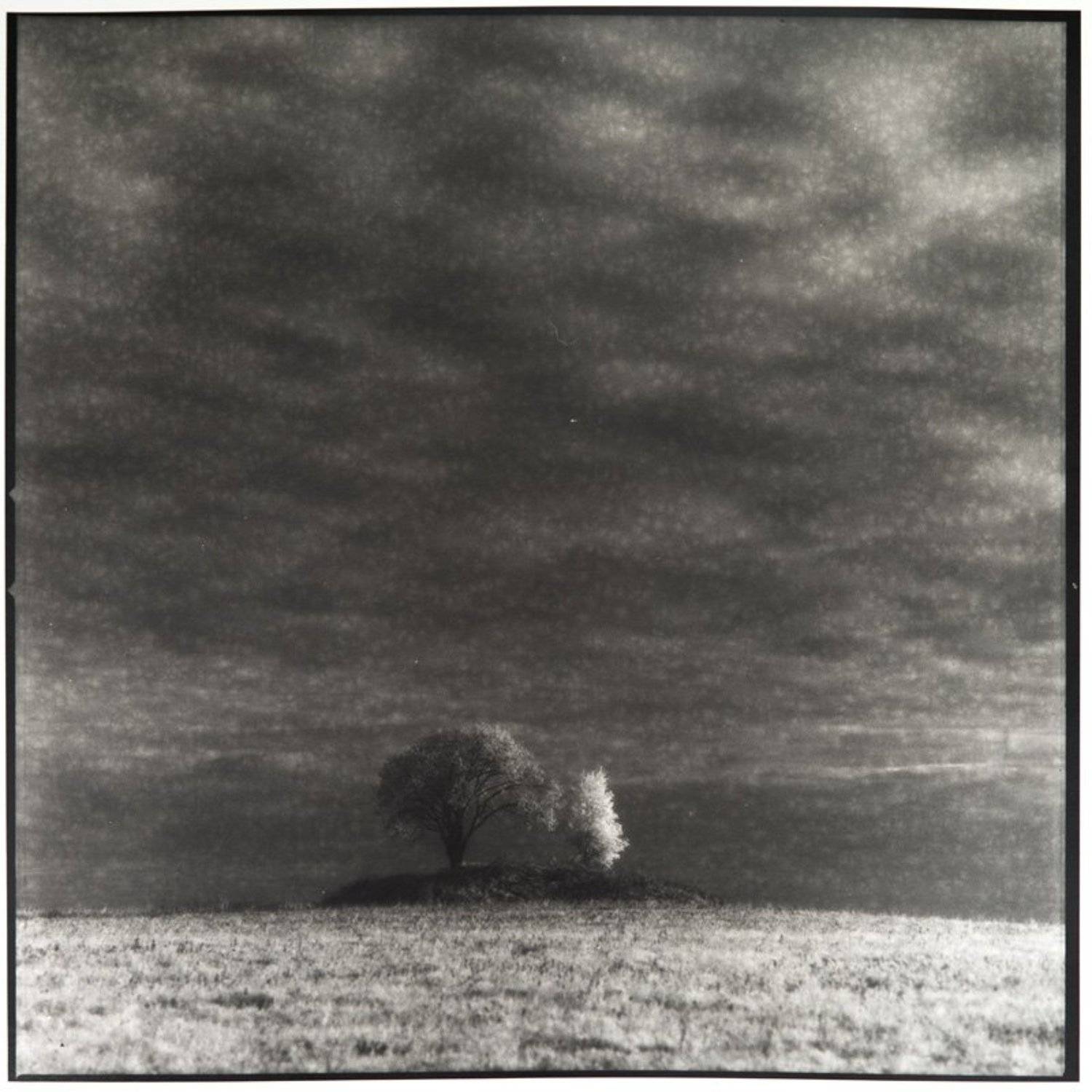 , Сергей Чубаров