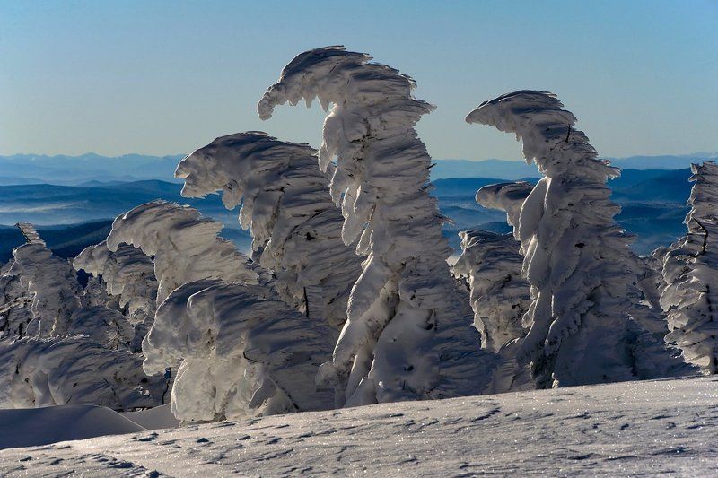Вечно бредущие на Восток...