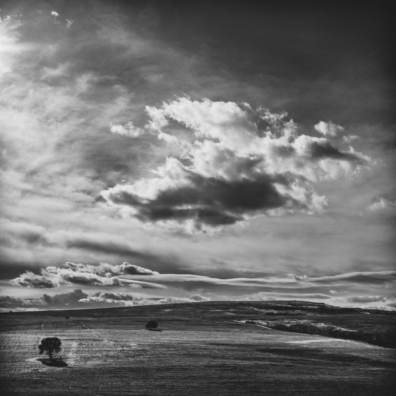 landscape, trees, nature, clouds, black and white, deep, Running trees фото превью