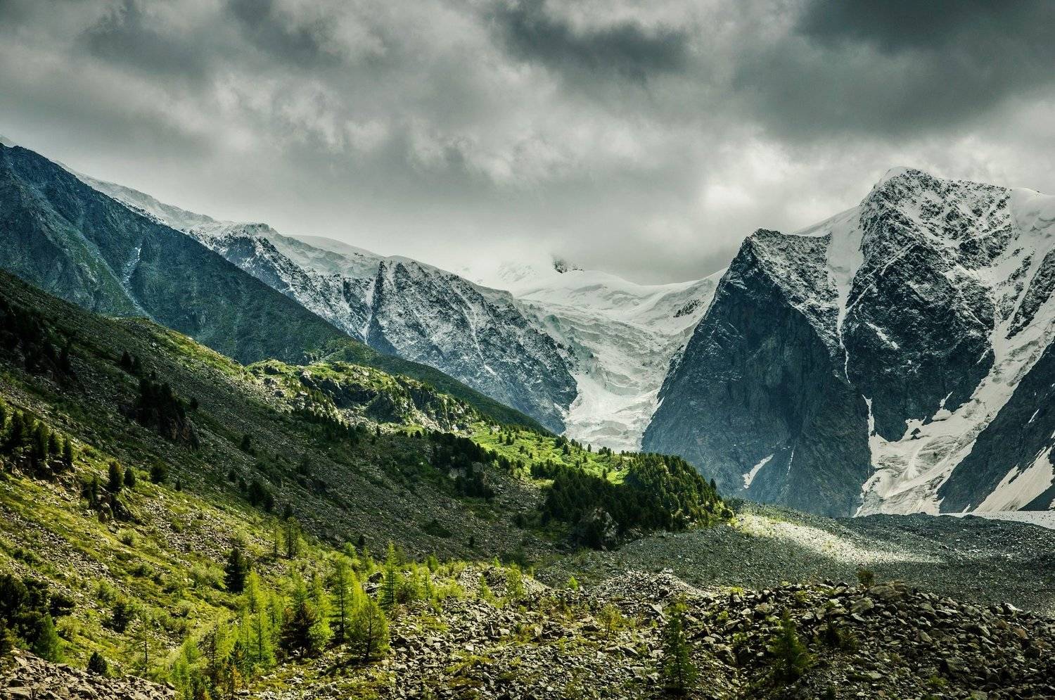 , Алексей Кретов