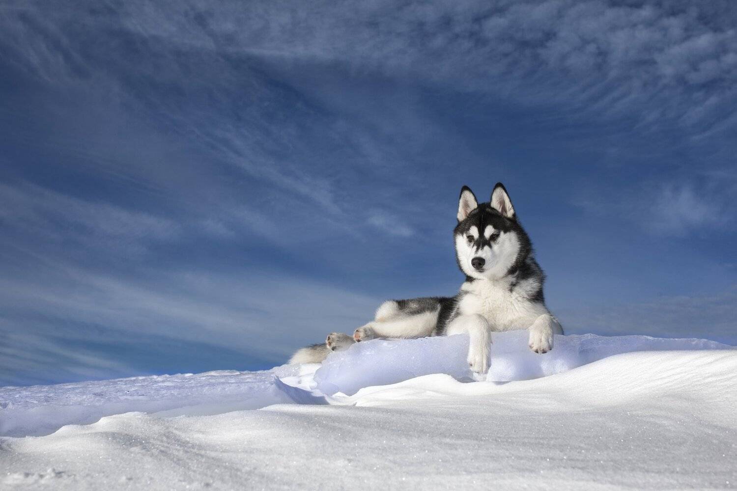 , Андрей Ершов