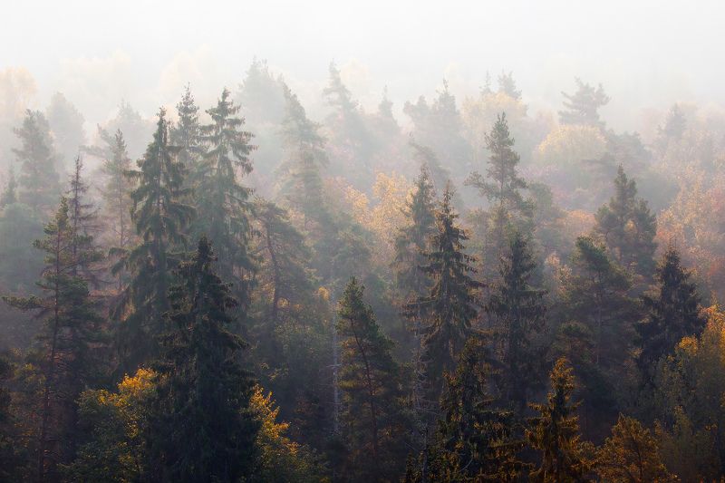 Вспоминая осень. фото превью