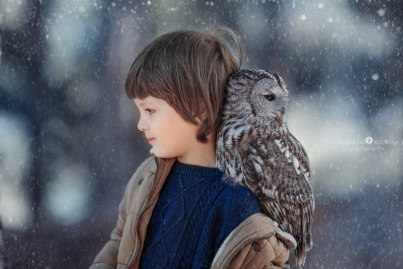 Мальчик, сова, осень, вместе Совёнок фото превью