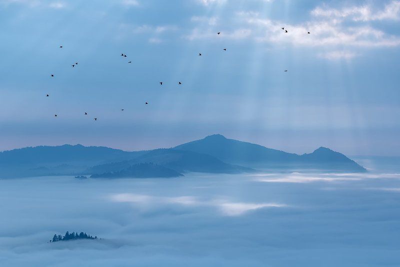 Pieniny фото превью