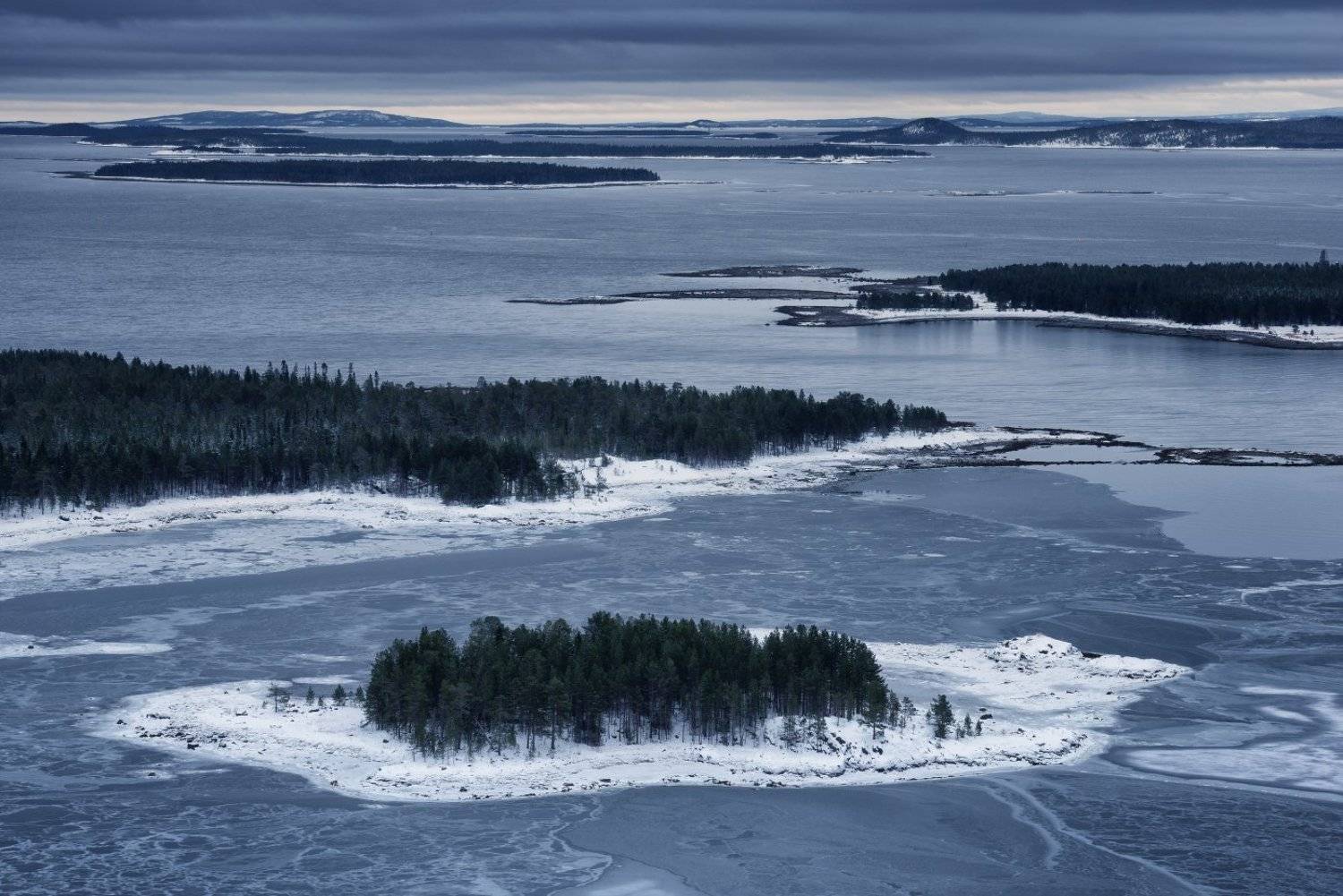 , Максим Евдокимов ( www.wildphotorus.ru )
