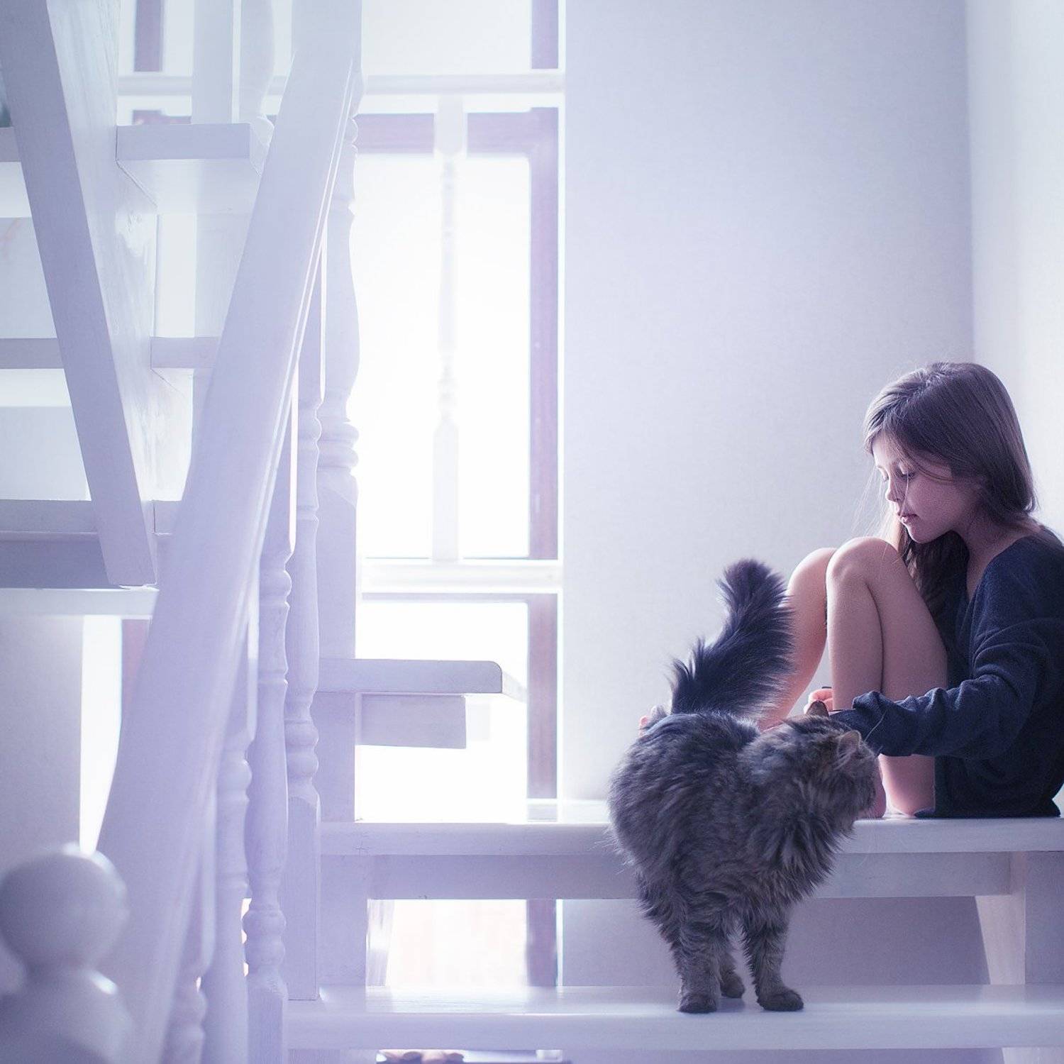 girl, cat, portrait, light, Юлия Карпова