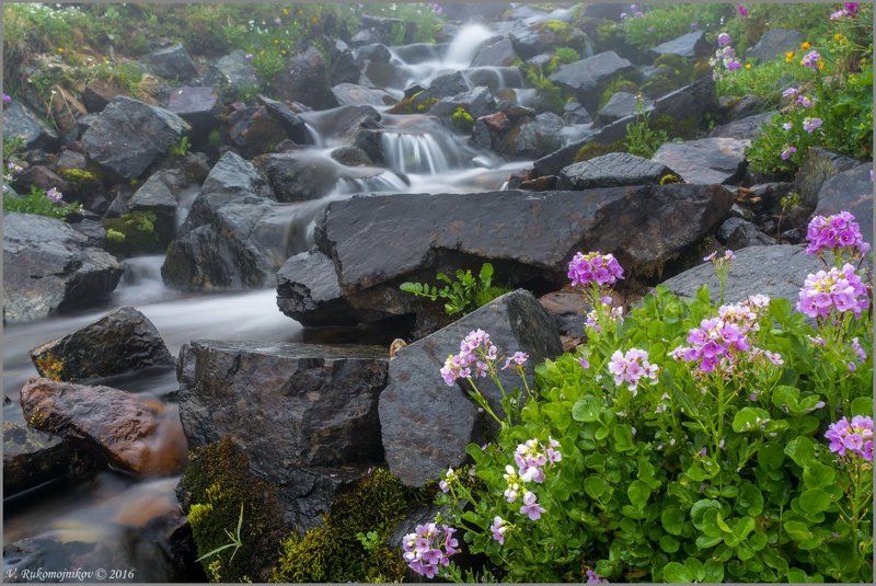 Водопад, Горы, Кавказ, Ручей, Цветы Поток фото превью