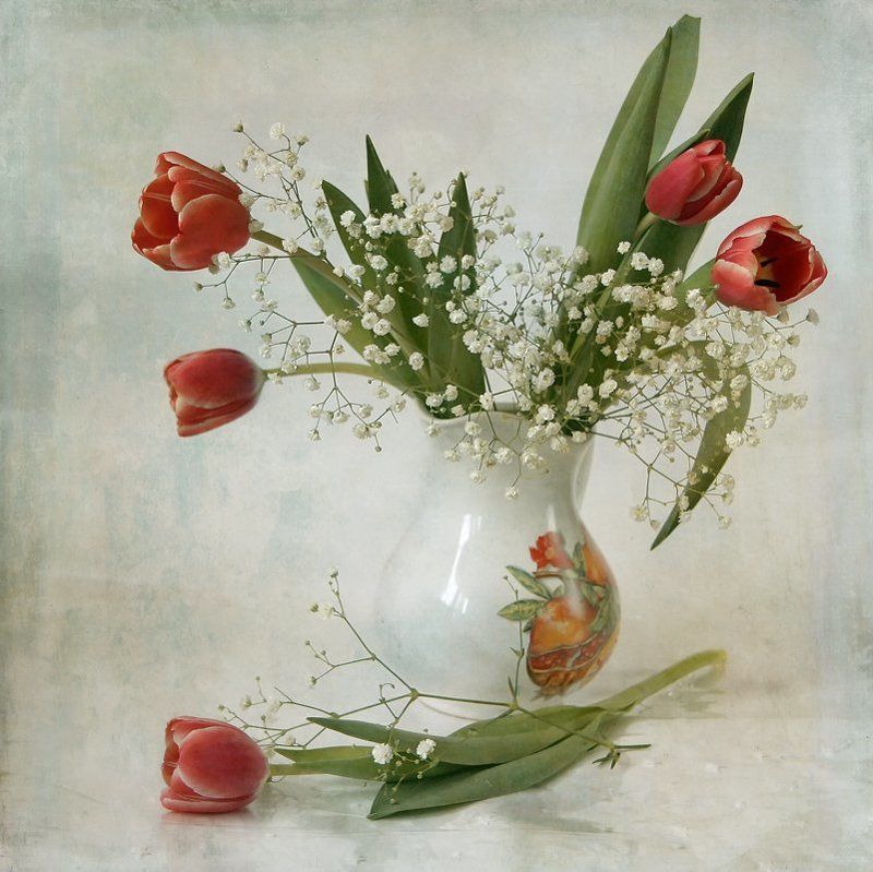 Первые тюльпаны фото превью