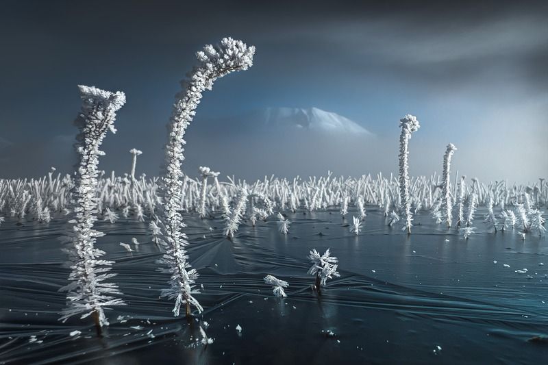 Quiet morning фото превью