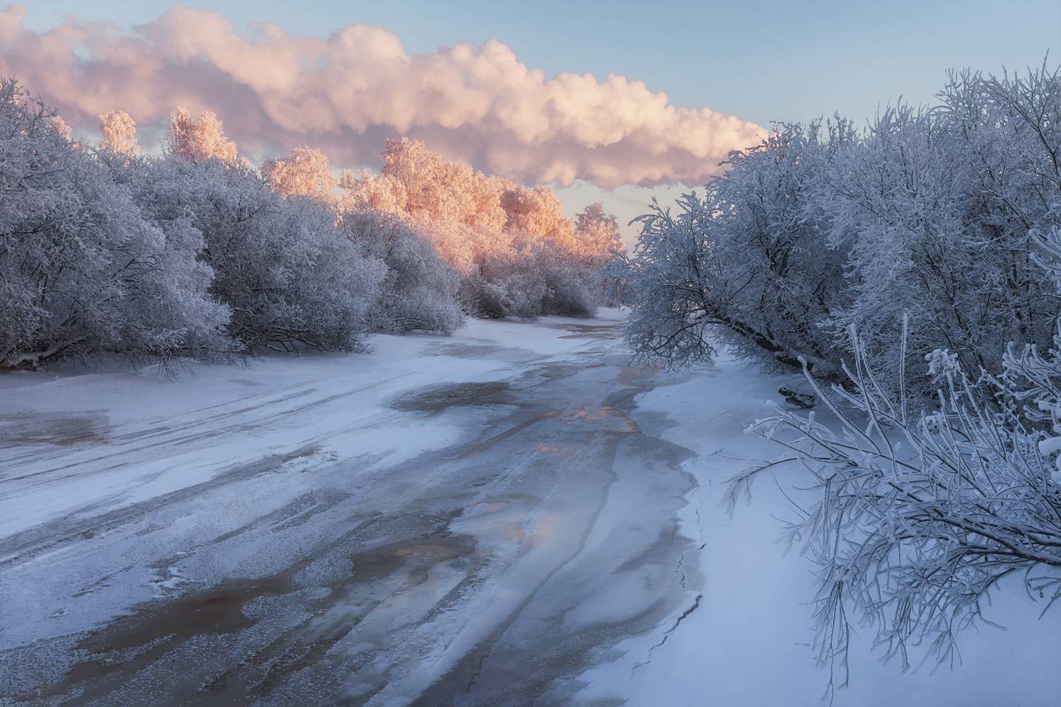 зима, иней, мороз, снег, деревья, кусты, река, лед, дым, розовый, синий, вечер, Вера Ра