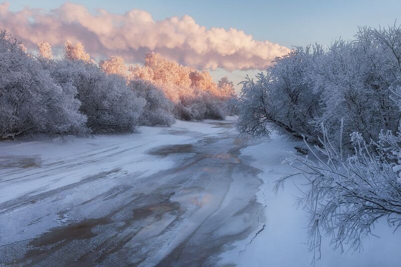 зима, иней, мороз, снег, деревья, кусты, река, лед, дым, розовый, синий, вечер В дымно-розовом и синем фото превью