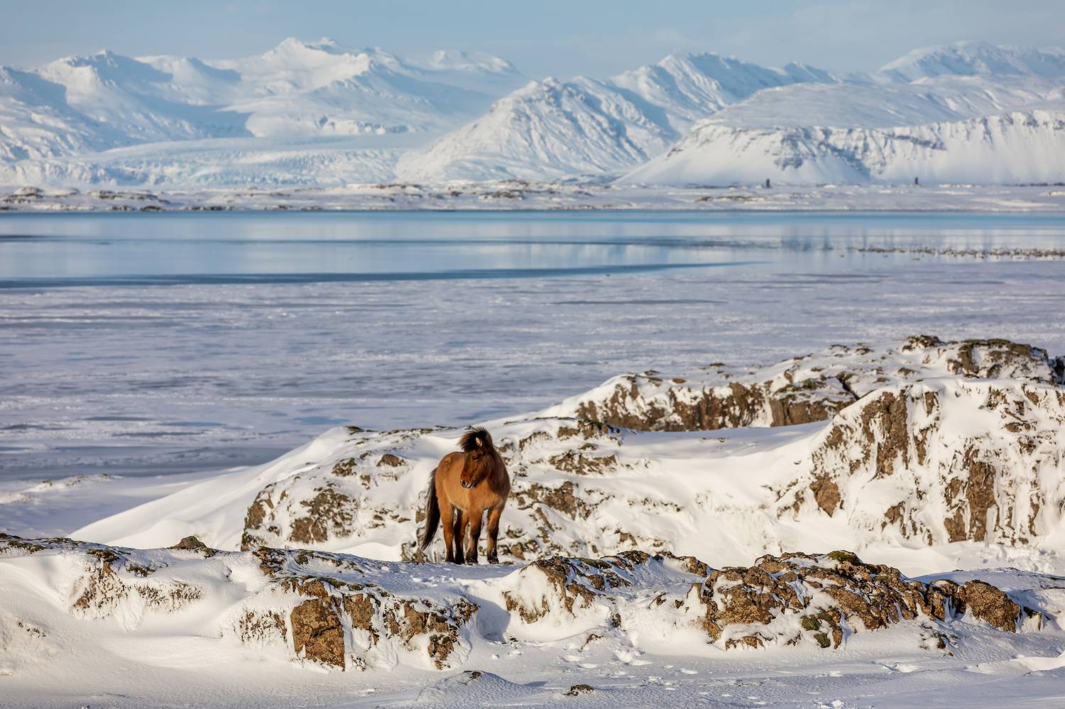 , Vladimir Vorobeychik