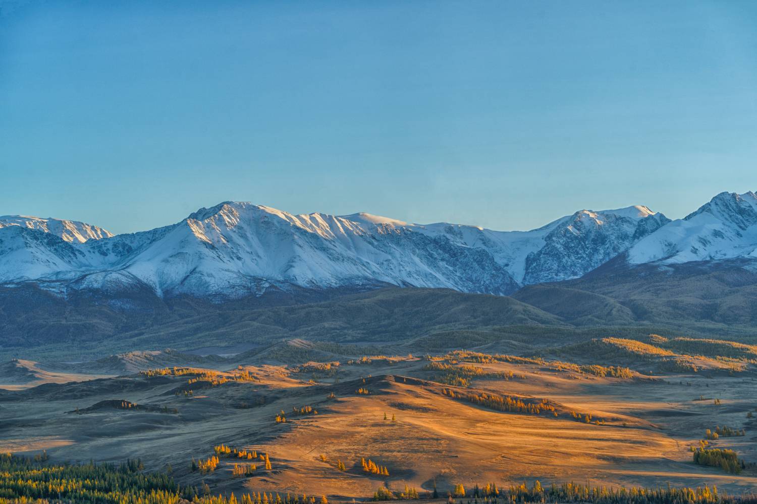 Алтай, Россия, пейзаж, природа, Курай, Лариса Дука