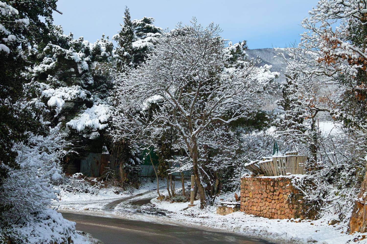 , Дмитрий Цыпляев