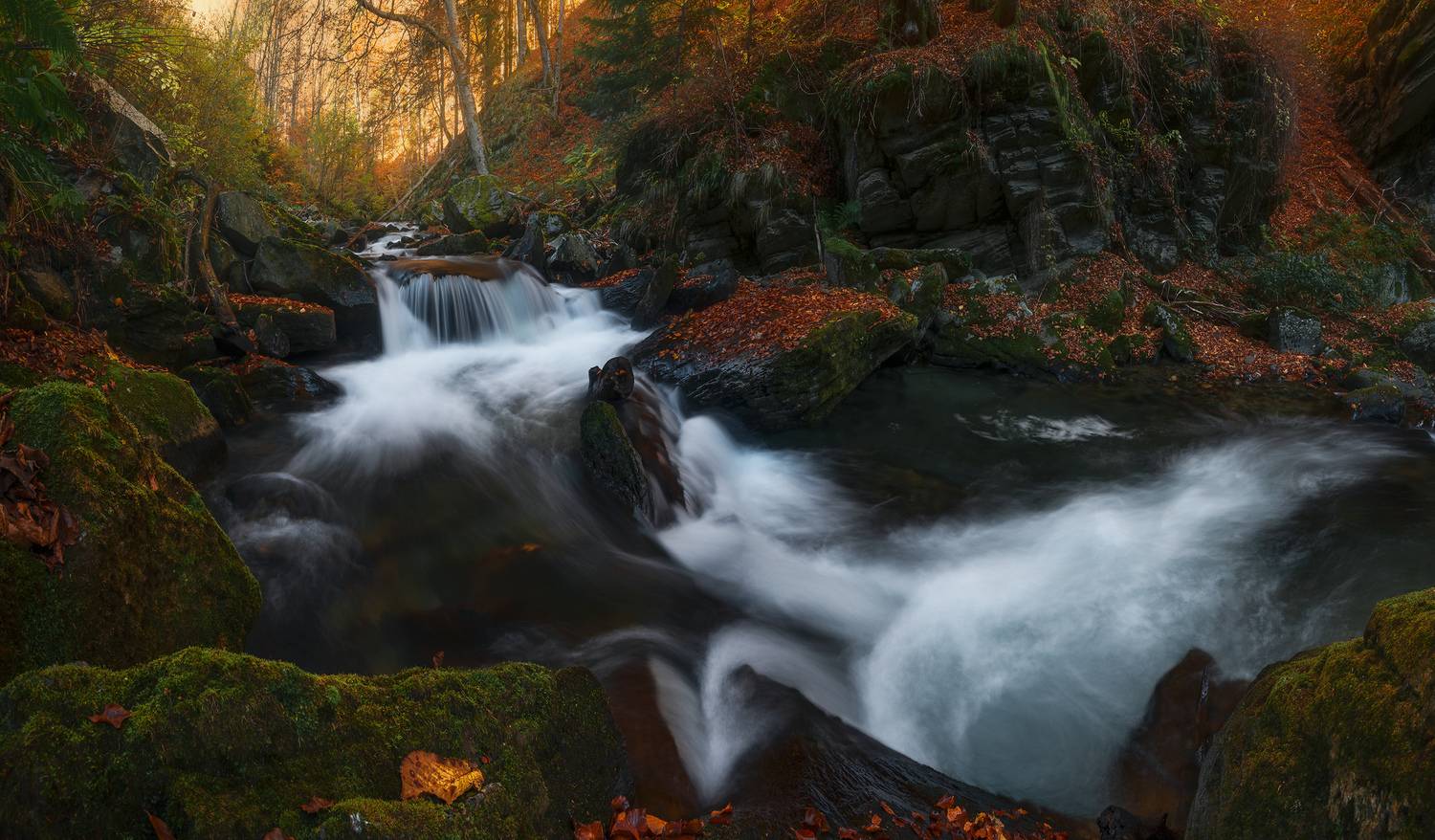 , Szabo Zsolt Andras