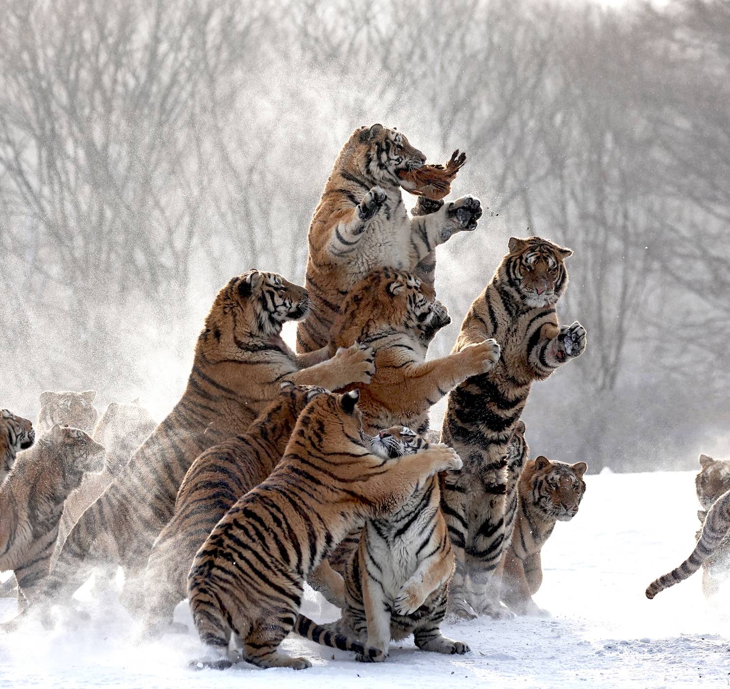 , Гудков Андрей