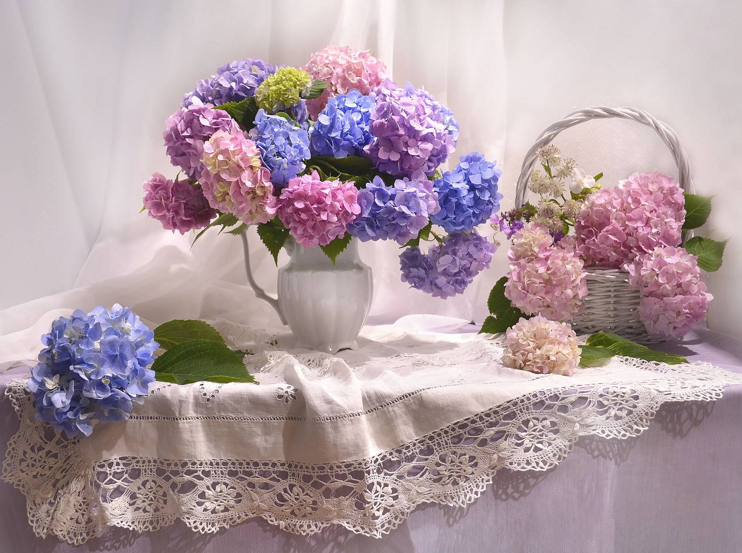 still life, натюрморт, цветы, фото натюрморт, лето, июль, гортензии, Колова Валентина