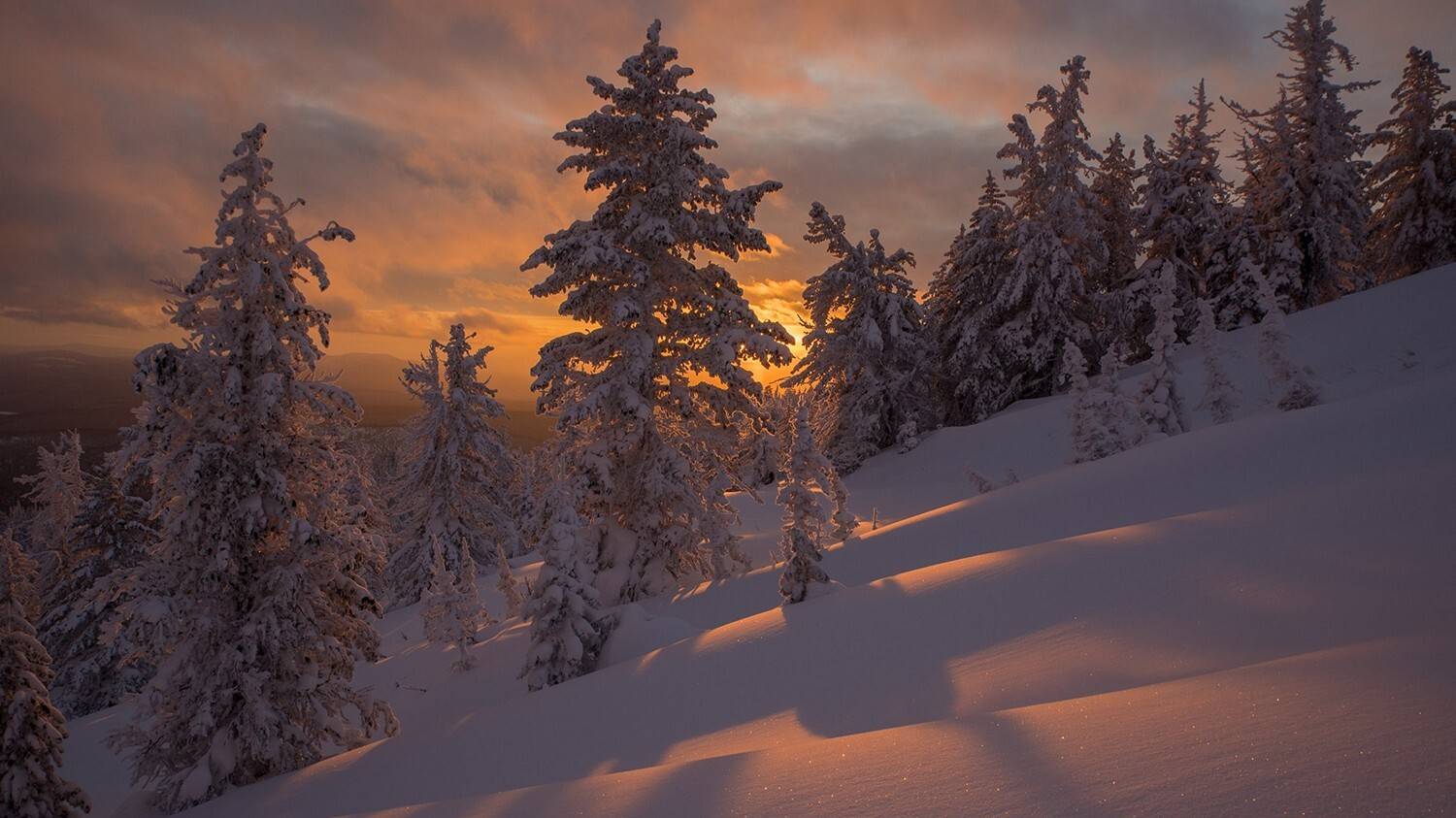зима, горы, лес, закат, снег, Юрий Мальцев