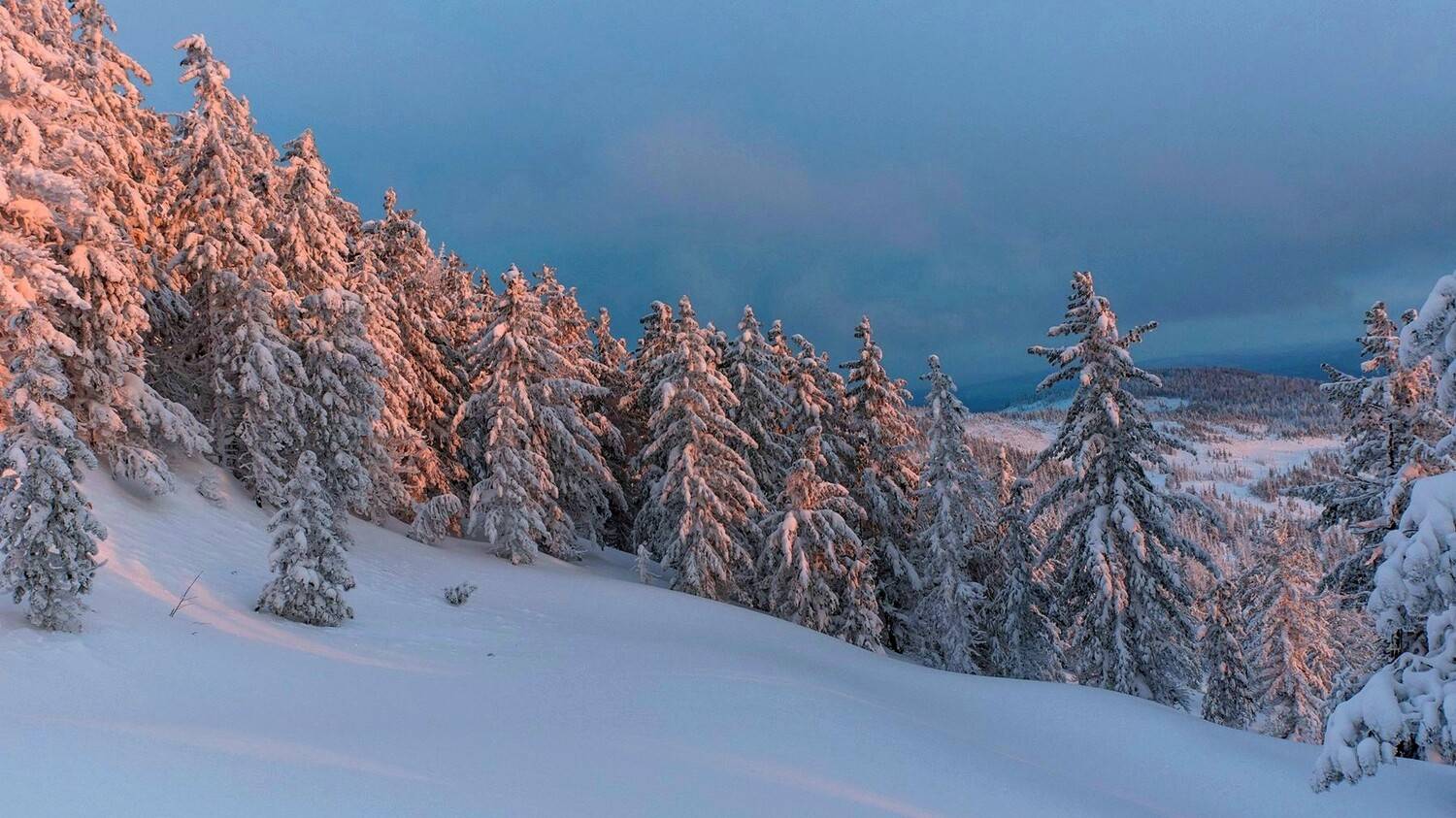 зима, горы, лес, закат, снег, Юрий Мальцев