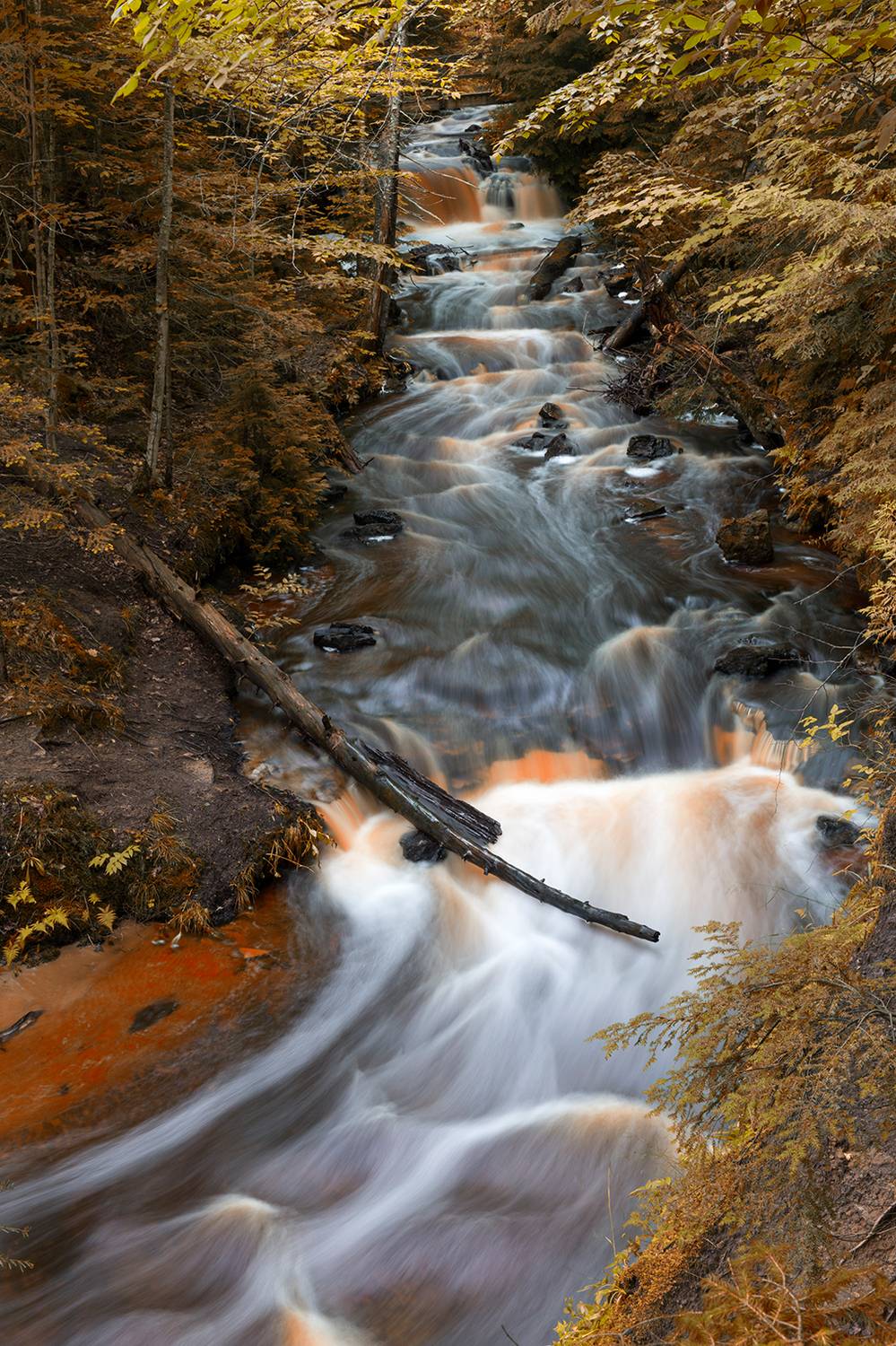 , Vladimir Vorobeychik