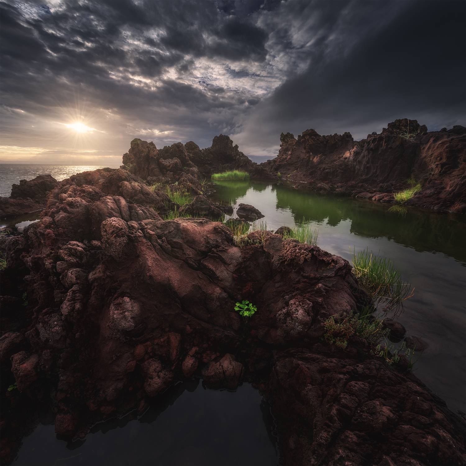 , Политова Анна