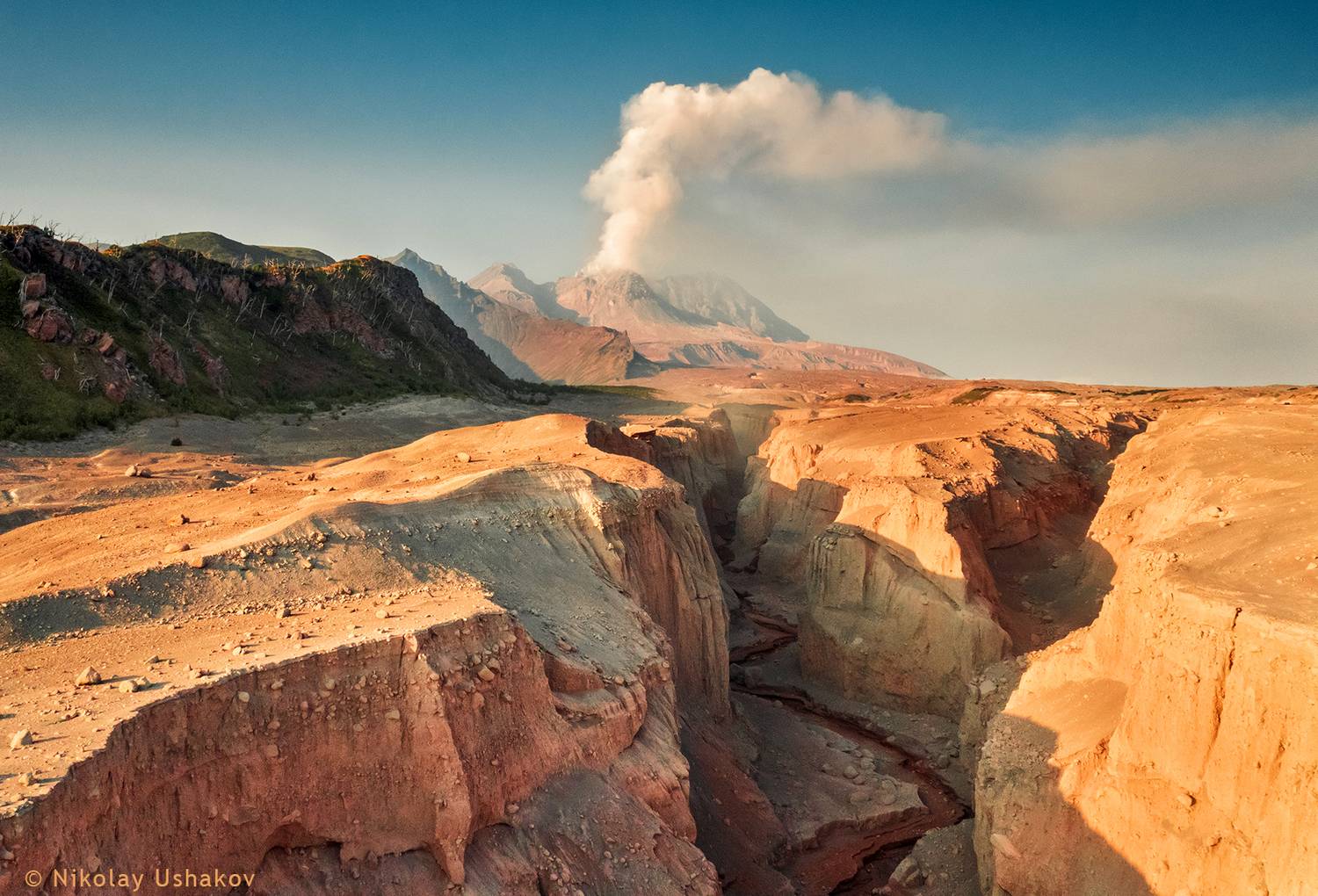 Камчатка, вулкан Шивелуч, Ушаков Николай