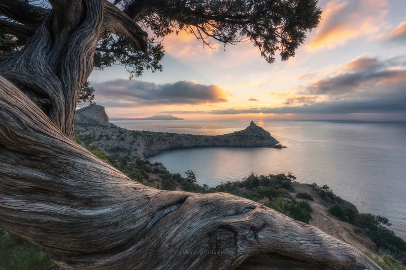 крым, новый свет, море, рассвет, пейзаж, горы, crimea, landscape Классика Нового Света фото превью