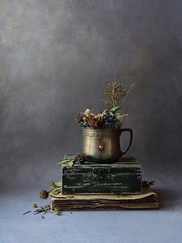 Winter Still Life фото превью