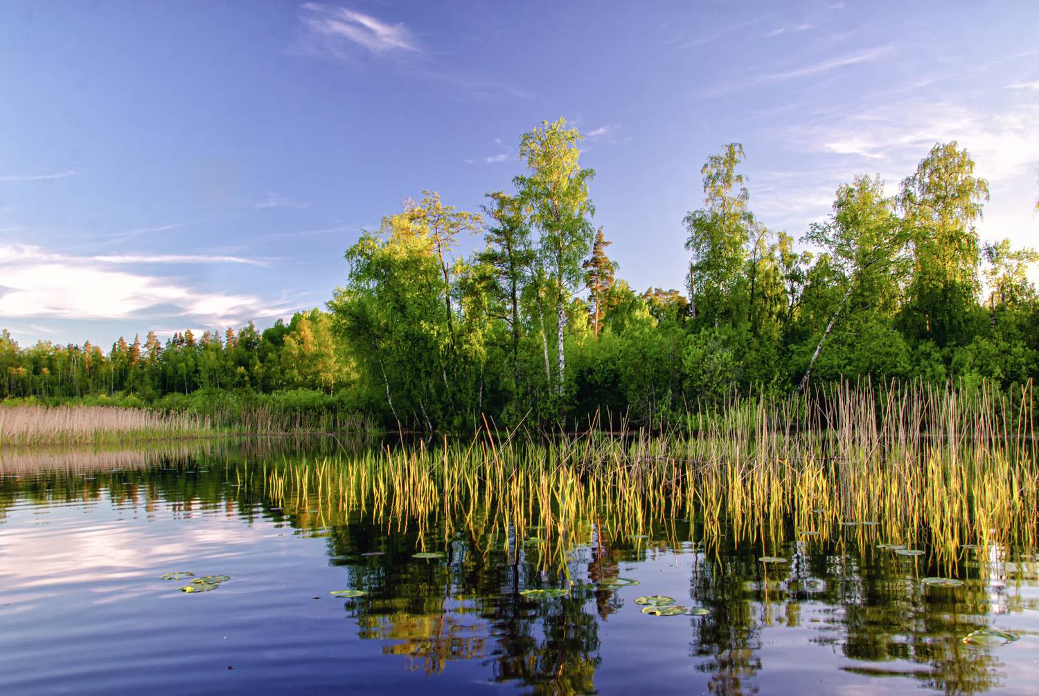 озеро вельё валдай вечер, Александр Березуцкий