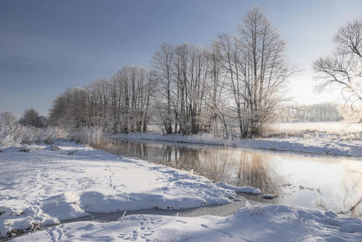 , Руслан Авдевич