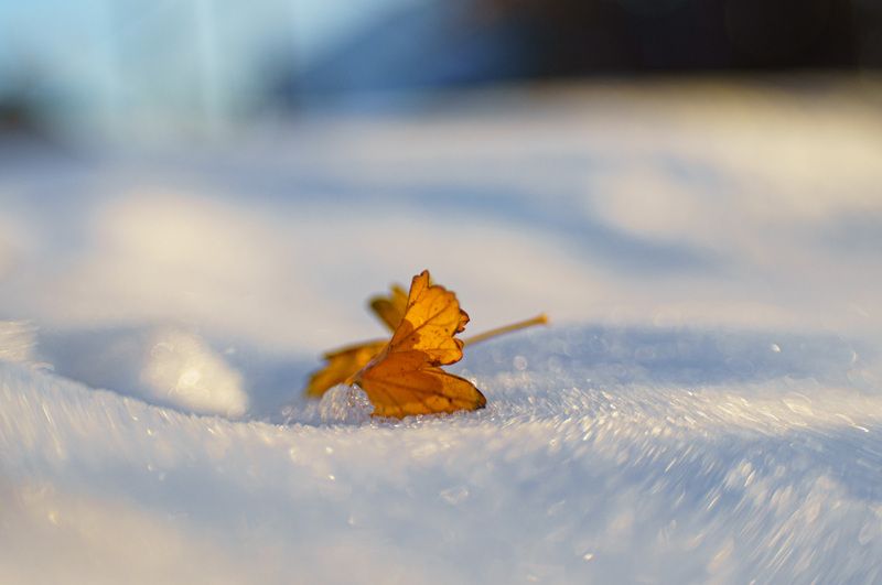 Февраль фото превью