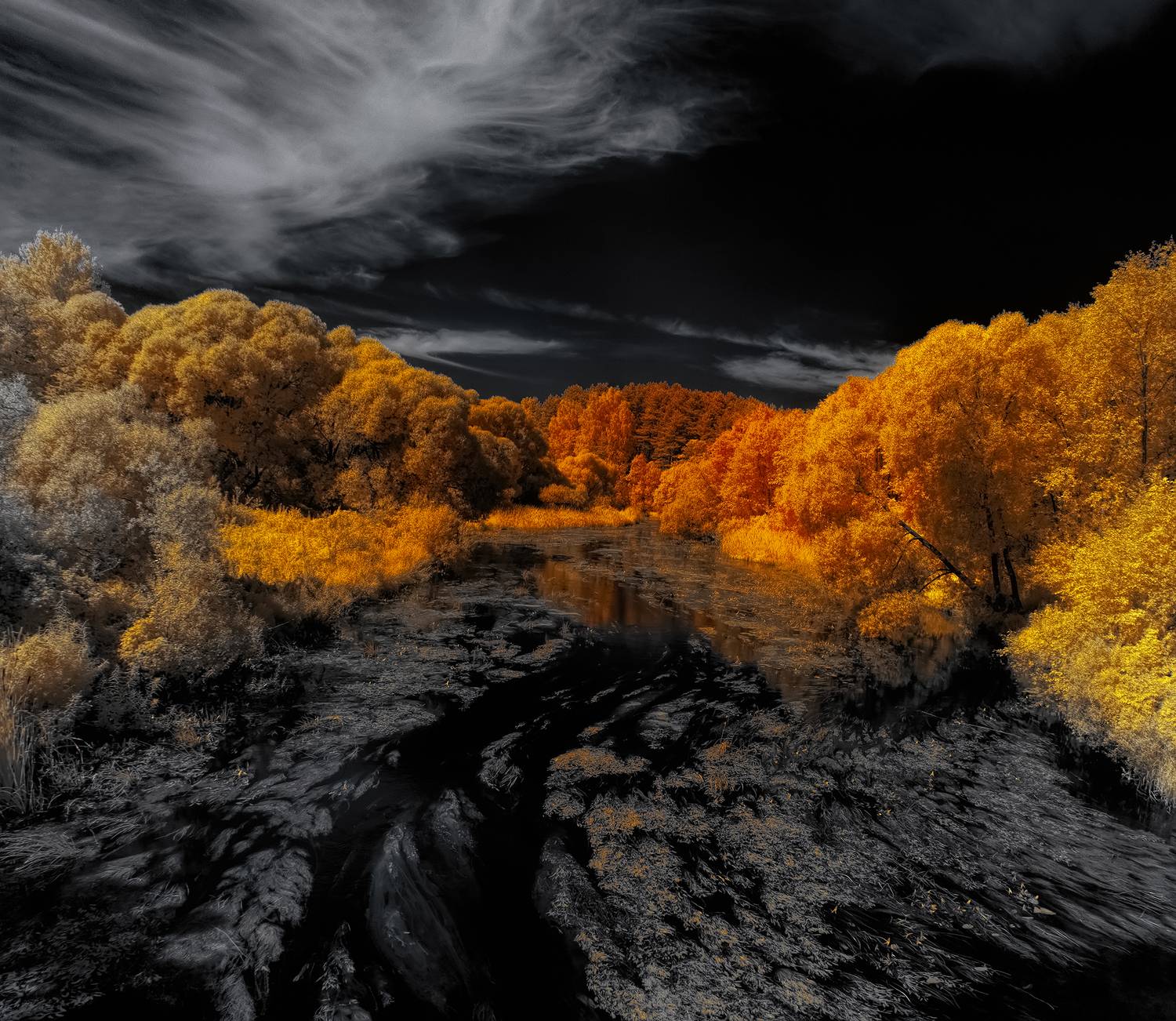 infrared,ик-фото,инфракрасное фото, инфракрасная фотография, пейзаж, лето,  Sixten (Сергей)