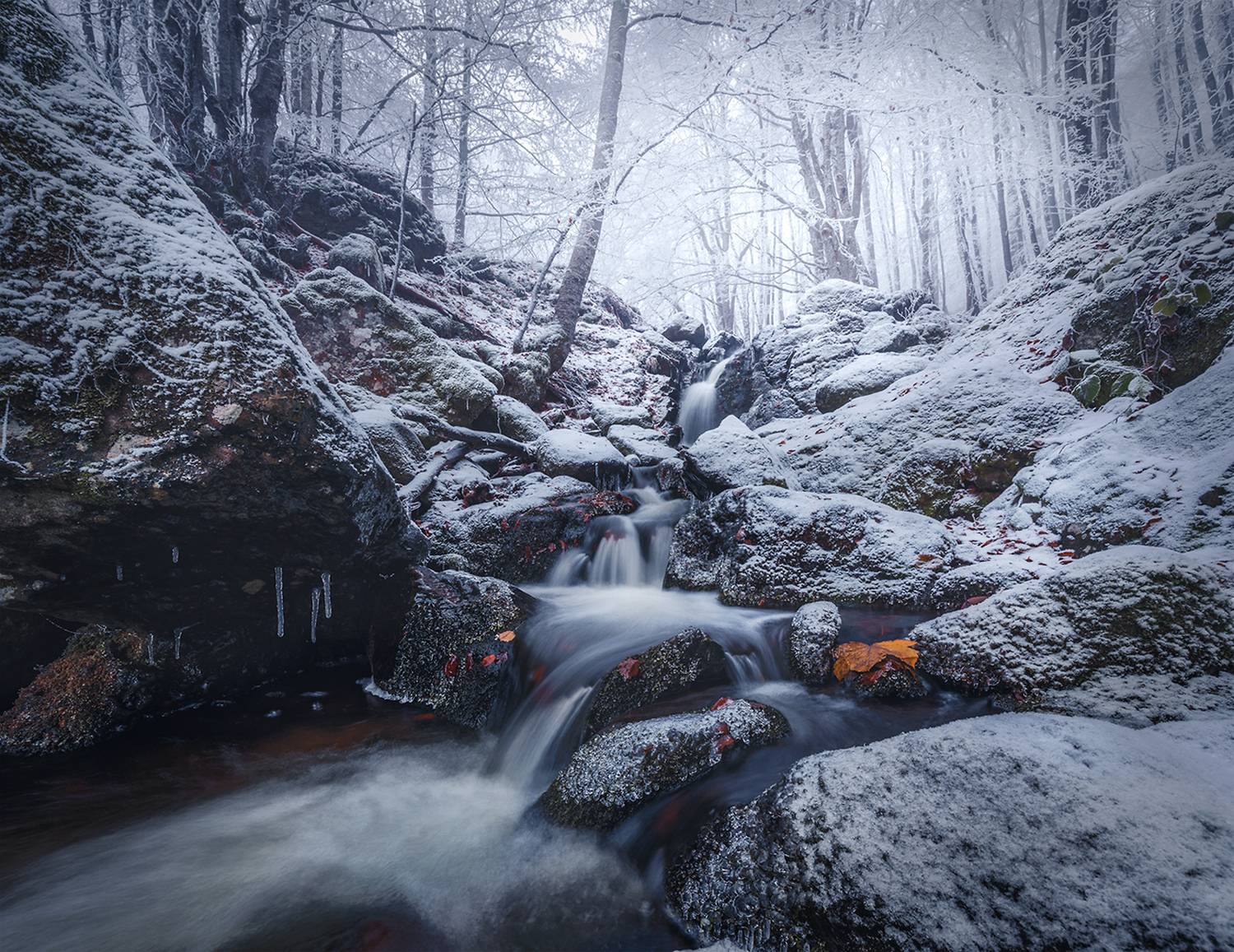 landscape nature scenery forest wood autumn rime mist misty fog foggy river longexposure mountain rocks vitosha bulgaria, Александър Александров