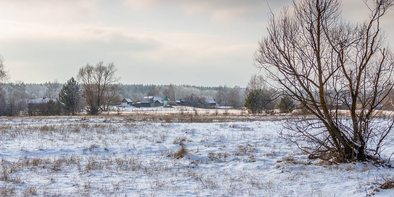 лес, деревья, зима, иней, природа, Востриков Руслан