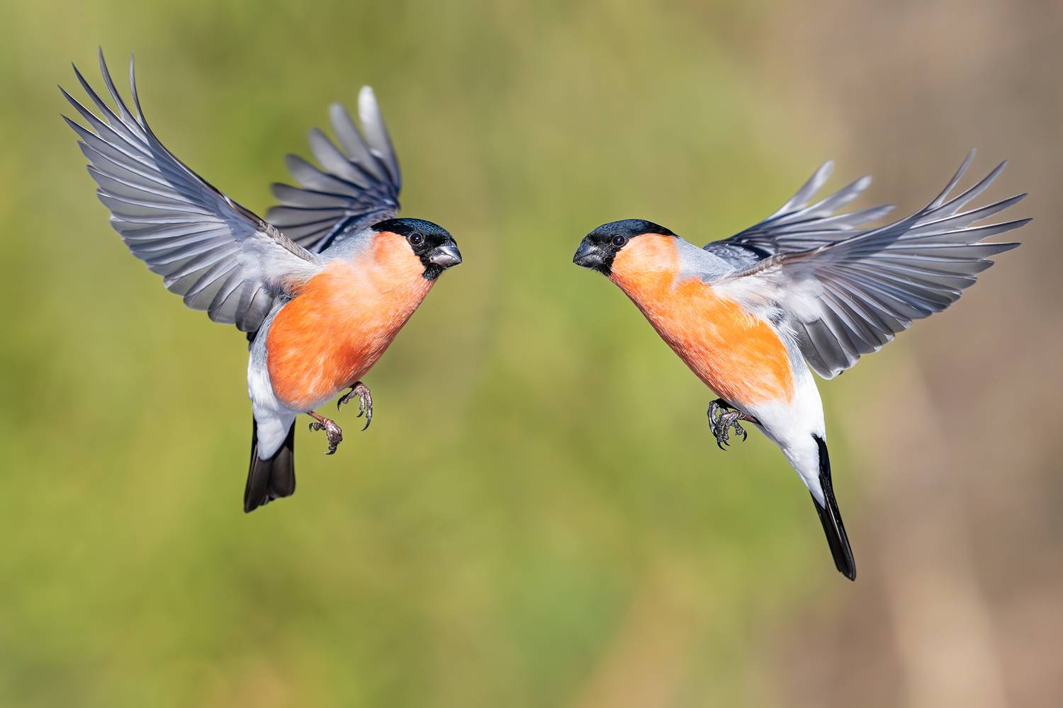 , Сумников Алексей