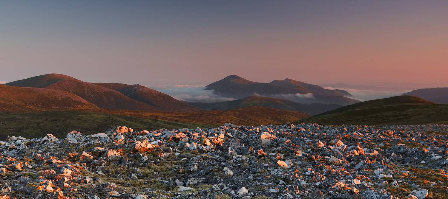 , Wojciech Tarnowski